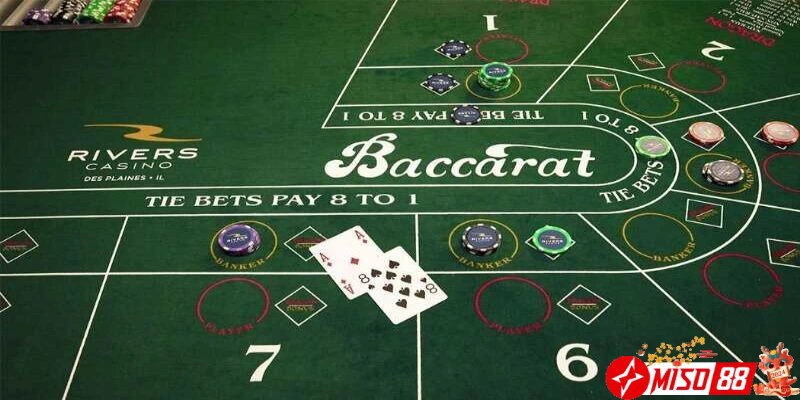 Tính số điểm của Baccarat Petalive