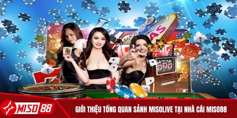 Giới thiệu tổng quan sảnh Misolive