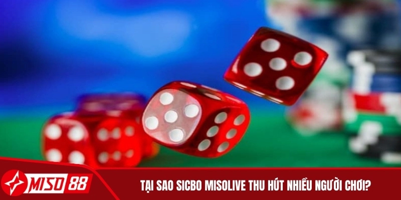 Tại sao SicBo MisoLive thu hút nhiều người chơi?